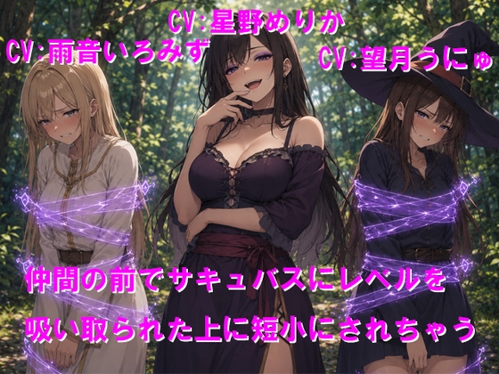 仲間の前でサキュバスにレベルを吸い取られた上に短小にされちゃう｜サキュバス音声 音声レビュー